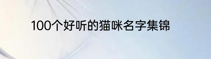 100个好听的猫咪名字集锦