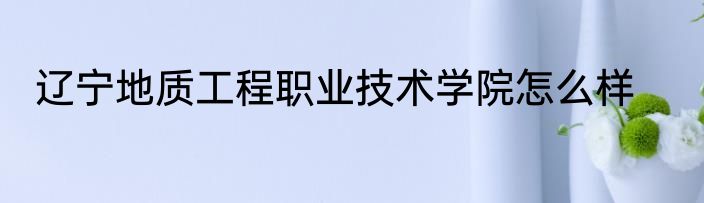 辽宁地质工程职业技术学院怎么样