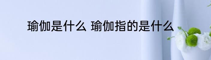 瑜伽是什么 瑜伽指的是什么