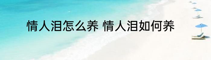 情人泪怎么养 情人泪如何养