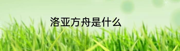 洛亚方舟是什么