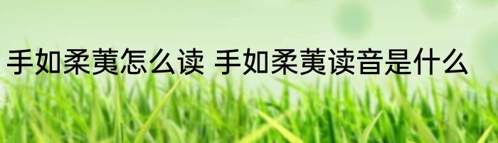 手如柔荑怎么读 手如柔荑读音是什么