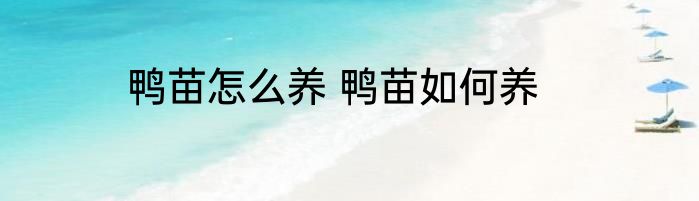鸭苗怎么养 鸭苗如何养