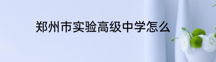 郑州市实验高级中学怎么