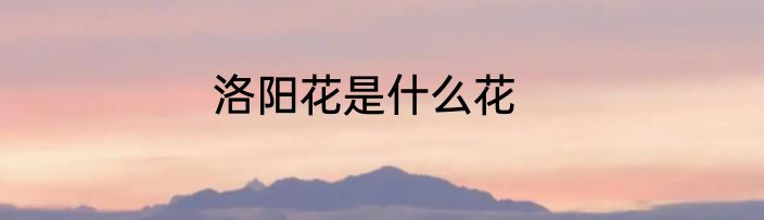 洛阳花是什么花