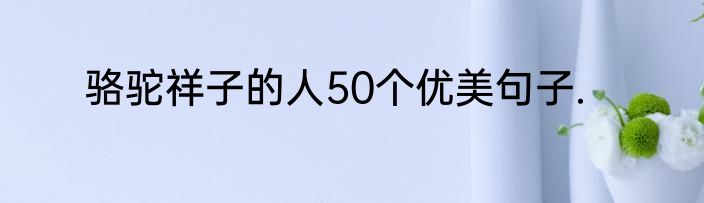 骆驼祥子的人50个优美句子.