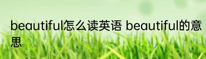 beautiful怎么读英语 beautiful的意思