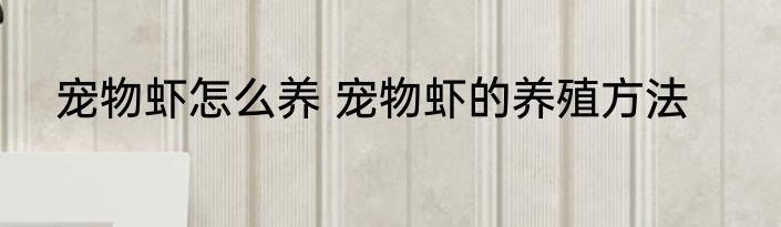 宠物虾怎么养 宠物虾的养殖方法