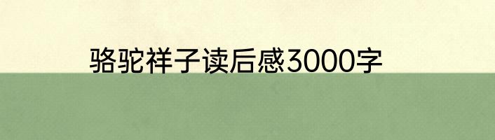 骆驼祥子读后感3000字