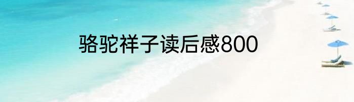 骆驼祥子读后感800