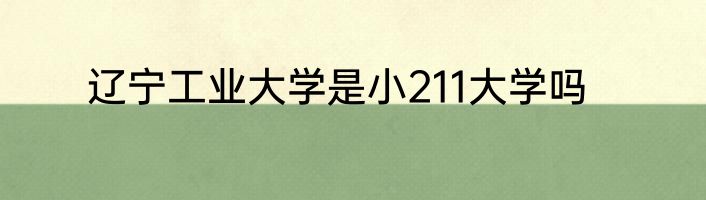 辽宁工业大学是小211大学吗