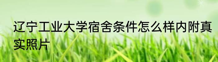 辽宁工业大学宿舍条件怎么样内附真实照片