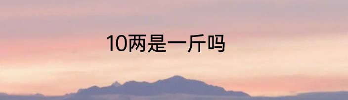 10两是一斤吗