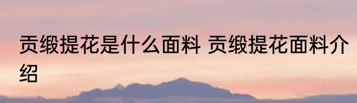 贡缎提花是什么面料 贡缎提花面料介绍