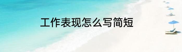 工作表现怎么写简短