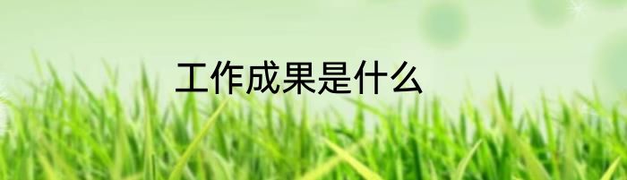 工作成果是什么