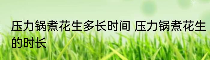 压力锅煮花生多长时间 压力锅煮花生的时长