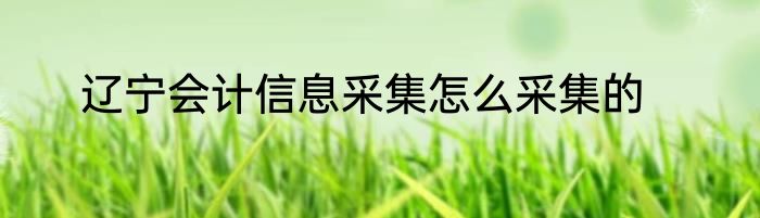 辽宁会计信息采集怎么采集的