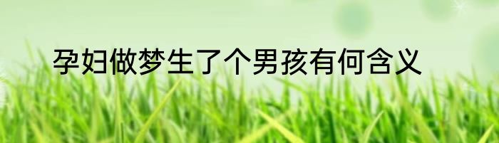 孕妇做梦生了个男孩有何含义