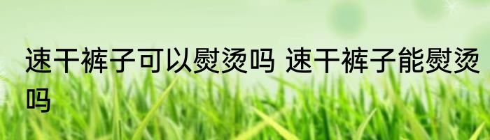 速干裤子可以熨烫吗 速干裤子能熨烫吗