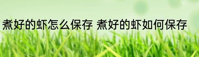 煮好的虾怎么保存 煮好的虾如何保存