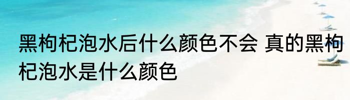 黑枸杞泡水后什么颜色不会 真的黑枸杞泡水是什么颜色
