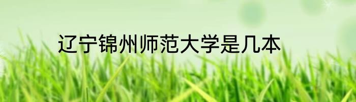 辽宁锦州师范大学是几本