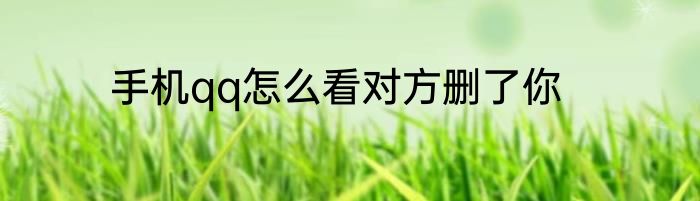 手机qq怎么看对方删了你