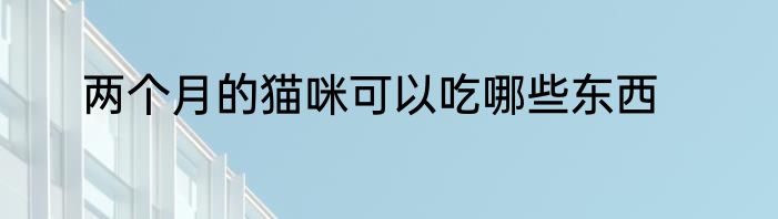 两个月的猫咪可以吃哪些东西
