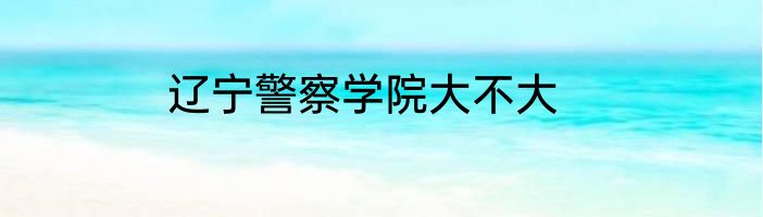 辽宁警察学院大不大