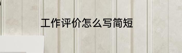 工作评价怎么写简短