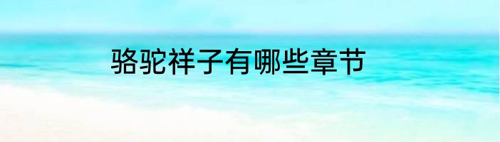 骆驼祥子有哪些章节