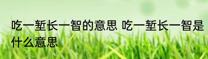 吃一堑长一智的意思 吃一堑长一智是什么意思