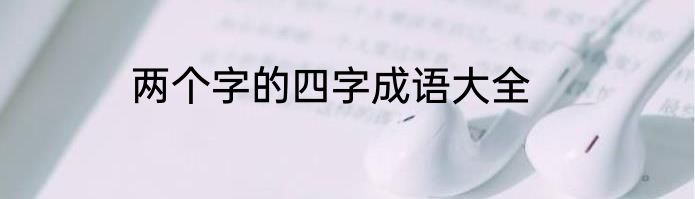 两个字的四字成语大全