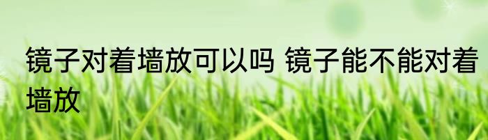 镜子对着墙放可以吗 镜子能不能对着墙放