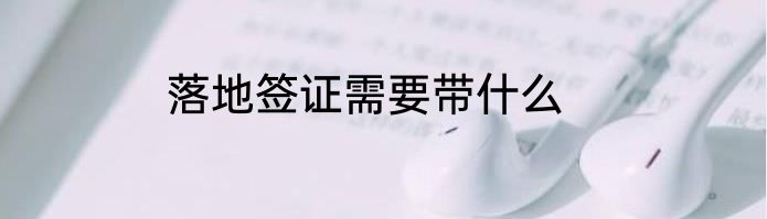 落地签证需要带什么