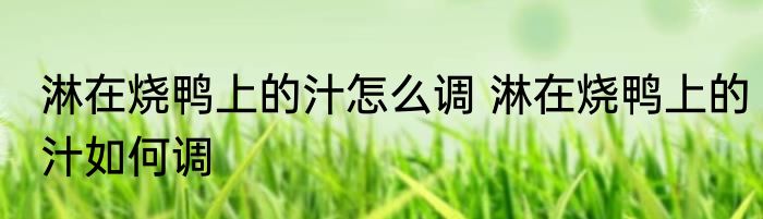淋在烧鸭上的汁怎么调 淋在烧鸭上的汁如何调