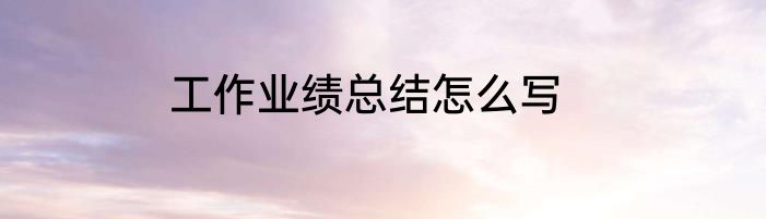 工作业绩总结怎么写