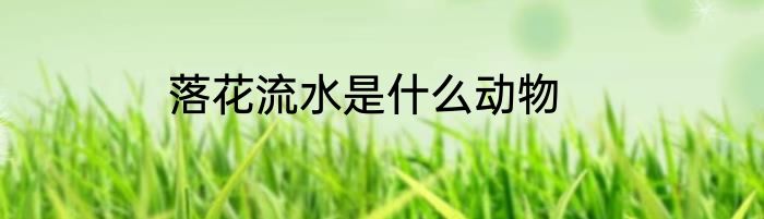 落花流水是什么动物