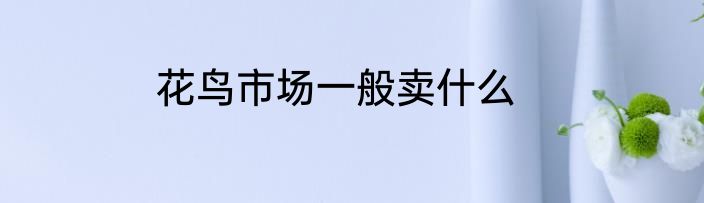 花鸟市场一般卖什么