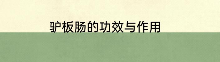 驴板肠的功效与作用