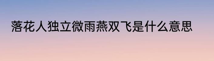 落花人独立微雨燕双飞是什么意思