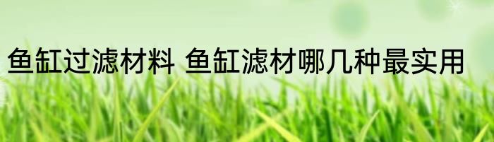 鱼缸过滤材料 鱼缸滤材哪几种最实用