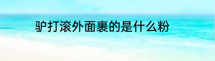 驴打滚外面裹的是什么粉