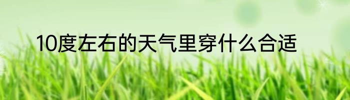 10度左右的天气里穿什么合适