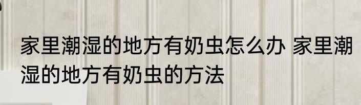 家里潮湿的地方有奶虫怎么办 家里潮湿的地方有奶虫的方法