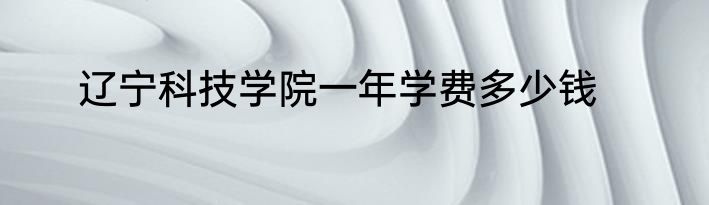 辽宁科技学院一年学费多少钱