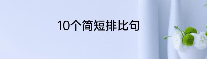 10个简短排比句