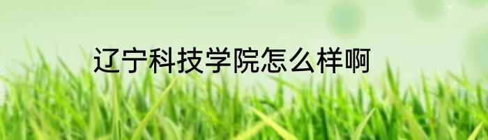 辽宁科技学院怎么样啊