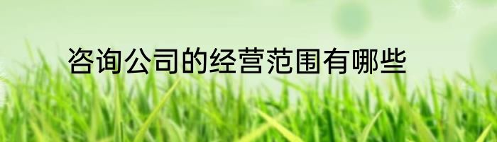 咨询公司的经营范围有哪些